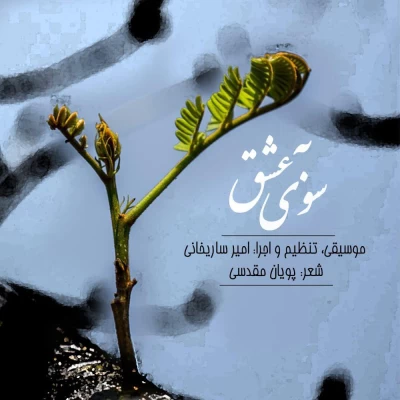 امیر ساریخانی - به سوی عشق