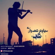 سیاوش شهسواری - شب