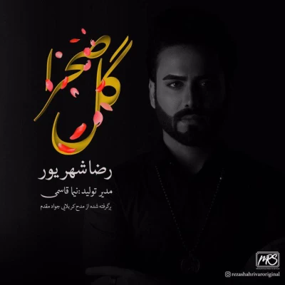 رضا شهریور - گل صحرا