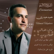 حمید حیدری - دیوونتم