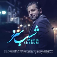 مهدی شکوهی - شب سرد