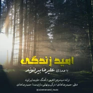 علیرضا بیرانوند - امید زندگی