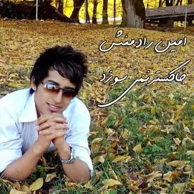 امین رادمنش - خاکستر نمیسوزد