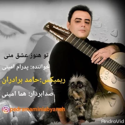 پدرام امینی - توهنوز (رمیکس)