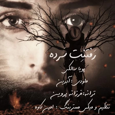 پویا سالکی - رفتنت سرده