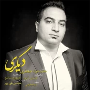 محمدجواد جعفری - دیگری