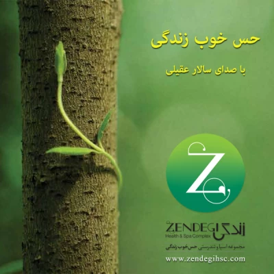 سالار عقیلی - حس خوب زندگی