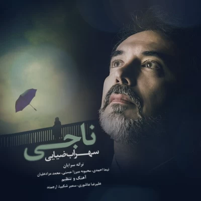 سهراب ضیائی - شبگرد