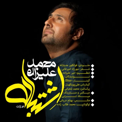 محمد علیزاده - اشتباه