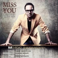 مهرداد شهسوار زاده - Miss You