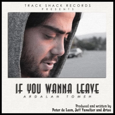 اردلان طعمه - If You Wanna Leave