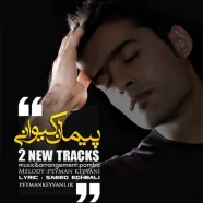 پیمان کیوانی - 2 New Track