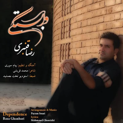 رضا قنبری - وابستگی