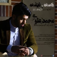 محمد علوی - هست و نیست