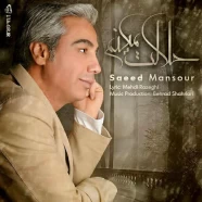 سعید منصور - حلالت میکنم