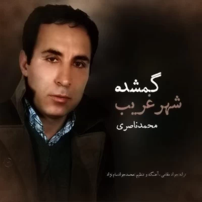 محمد ناصری - گمشده ی شهر غریب