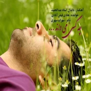 هادی فیض آبادی - چه کسی میداند