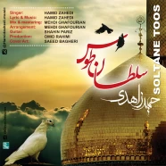 حمید زاهدی - سلطان توس