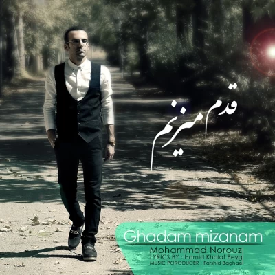 محمد نوروزی - قدم میزنم