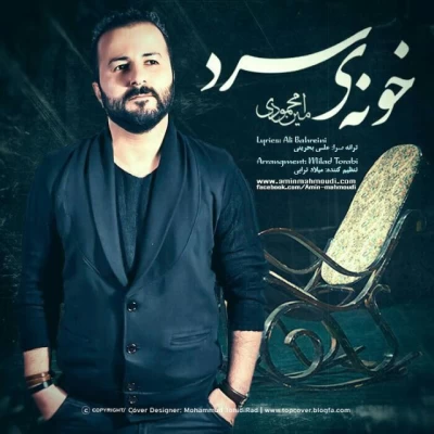 امین محمودی - خونه ی سرد