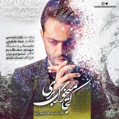 حامد محضرنیا - کجا میخوای بری