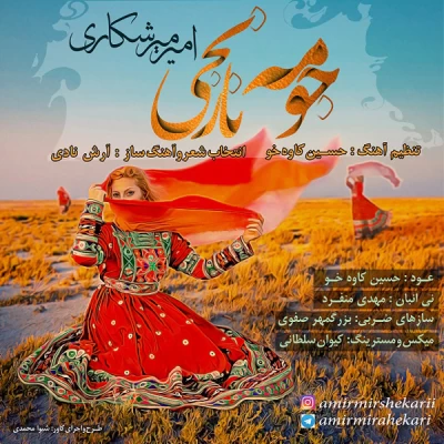 امیر میرشکاری - جومه نارنجی