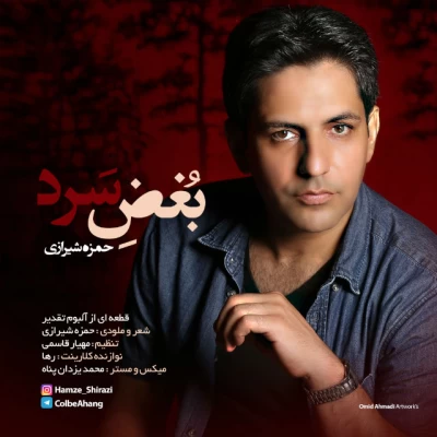 حمزه شیرازی - بغض سرد