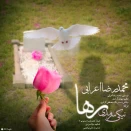 محمدرضا اعرابی رها