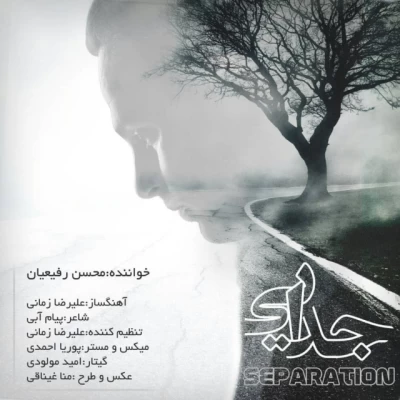 محسن رفیعیان - جدایی