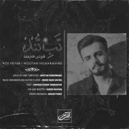 هوتن هنرمند - تب تند