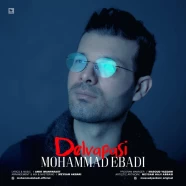 محمد عبادی - دلواپسی