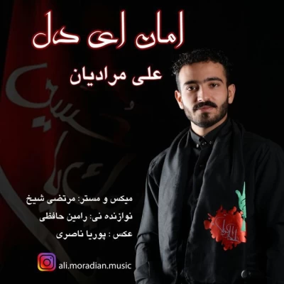 علی مرادیان - امان ای دل