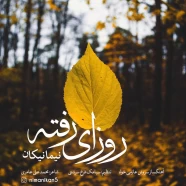 نیما نیکان - روزای رفته