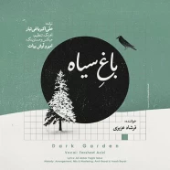 فرشاد عزیزی - باغ سیاه