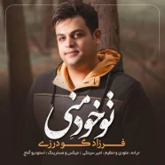 فرزاد گودرزی - تو خود منی