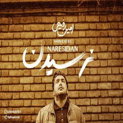 امین رفیعی - نرسیدن