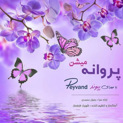 پیوند - پروانه میشن