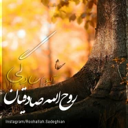 روح الله صادقیان - سادگی