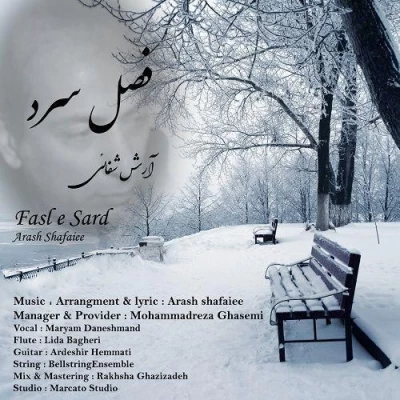 آرش شفاعی - فصل سرد