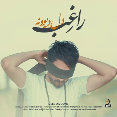 راغب - دل دیوونه