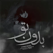 حامد موسوی - بدون تو