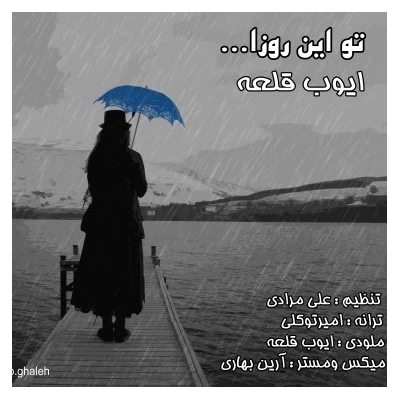 ایوب قلعه - این روزا