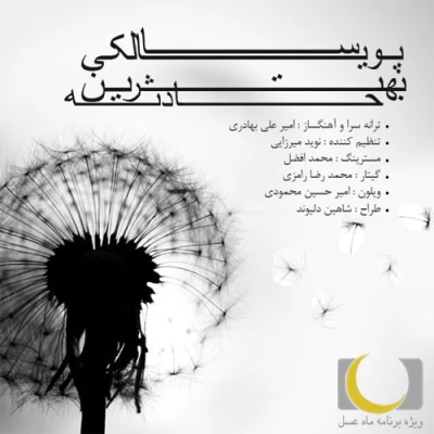 پویا سالکی - بهترین حادثه