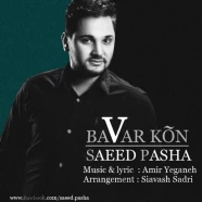 سعید پارسا - باور کن