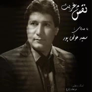 سعید عوض پور - نقش غربت