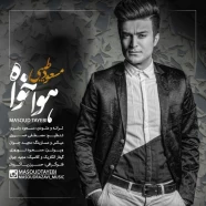 مسعود طیبی - هوا خواه