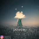 رضا پایدارفرد ردپا