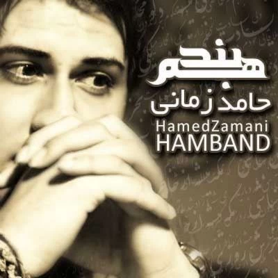 حامد زمانی - هم بند