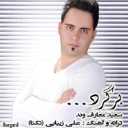 سعید معارف وند - برگرد