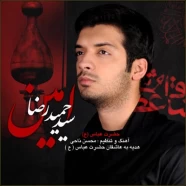 سید حمیدرضا امین - حضرت عباس